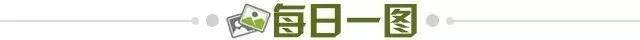2a6f15bd-70f0-42c9-98cb-2ab1ae2c1a9c.jpg@!img01